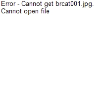 brcat001.jpg